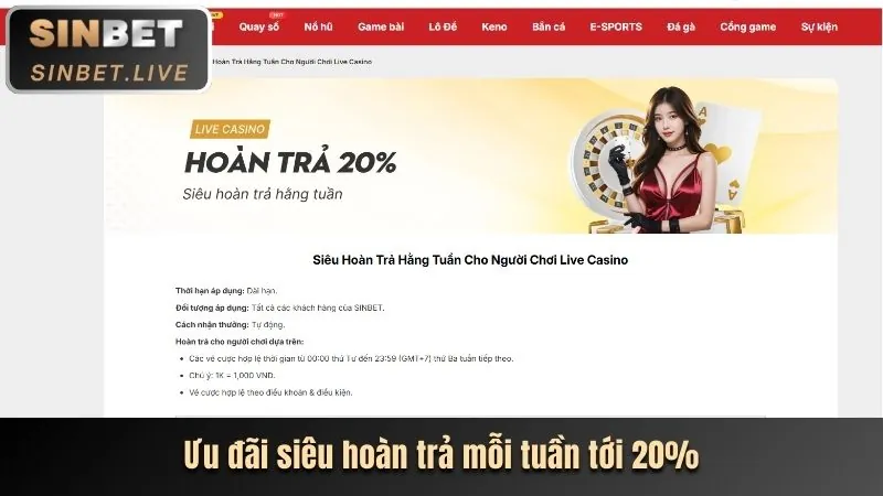 Dealer chuyên nghiệp tại zom link vào